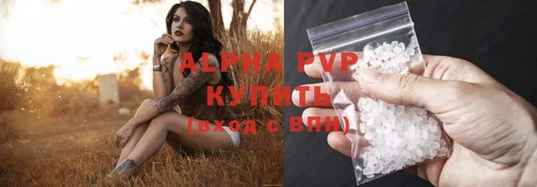 PSILOCYBIN Кукмор