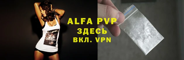 PSILOCYBIN Кукмор