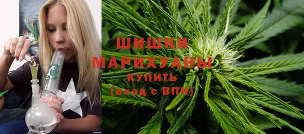PSILOCYBIN Кукмор
