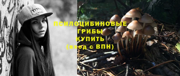 PSILOCYBIN Кукмор