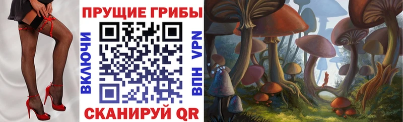 Псилоцибиновые грибы GOLDEN TEACHER  Микунь 